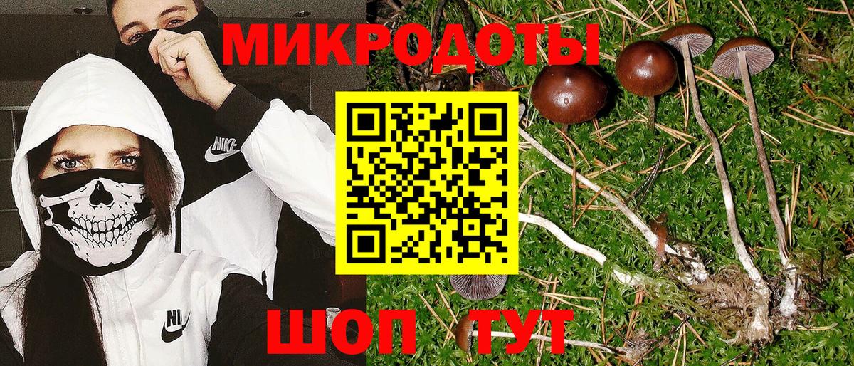 Галлюциногенные грибы Magic Shrooms  Вход с VPN  Новотроицк  Галлюциногенные грибы Cubensis 