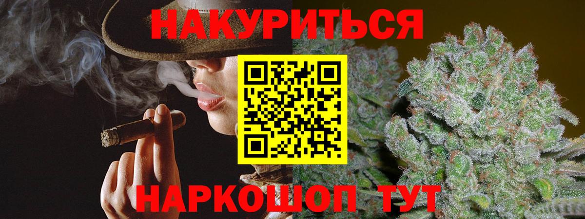 Канабис сатива Новотроицк